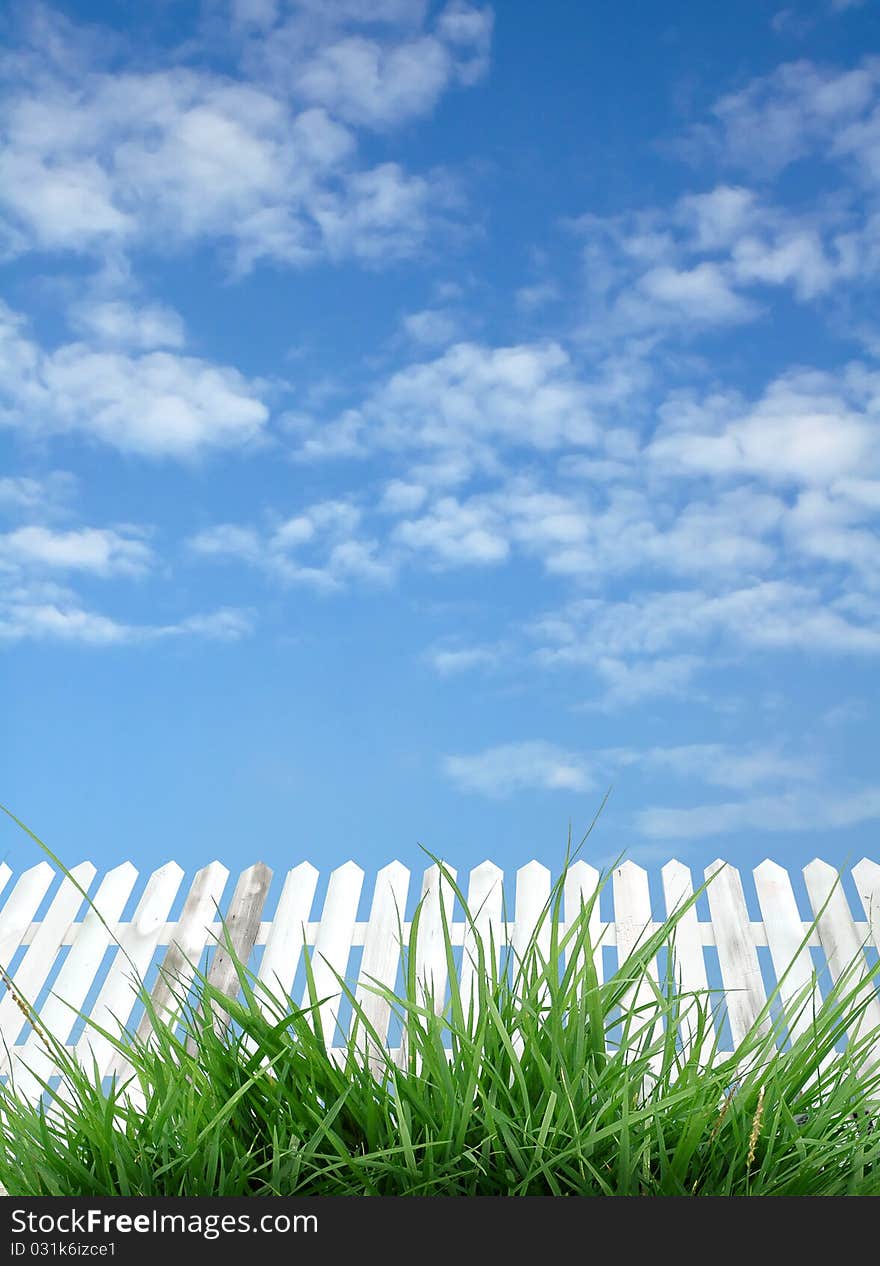 White with green grass and blue sky. White with green grass and blue sky