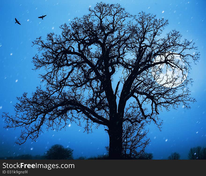 Lonely tree standing in the night lit by the moonlight . Lonely tree standing in the night lit by the moonlight ..