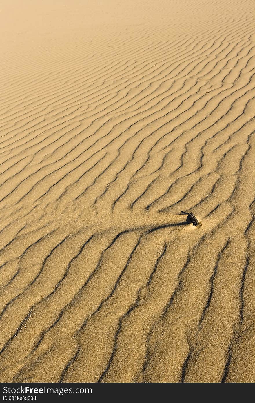 Stick breaks wave pattern in sand dune desert. Stick breaks wave pattern in sand dune desert