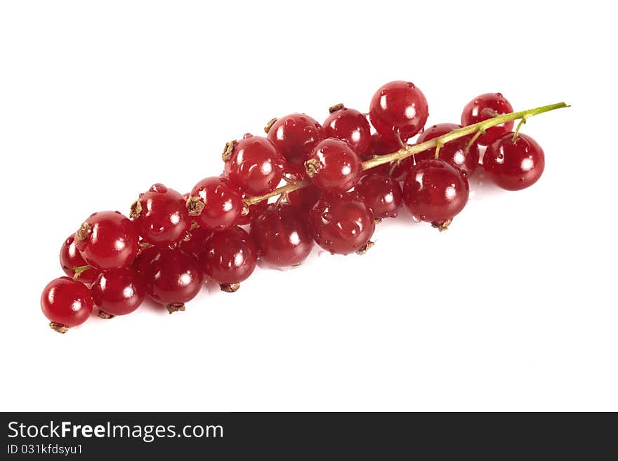 Redcurrant berry sweet on white