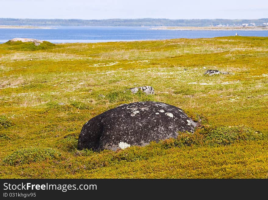 Landscape of Greater Zayatsky island