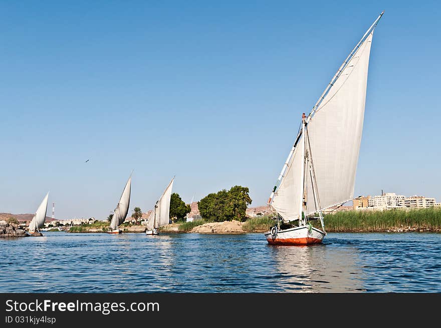 Felucca