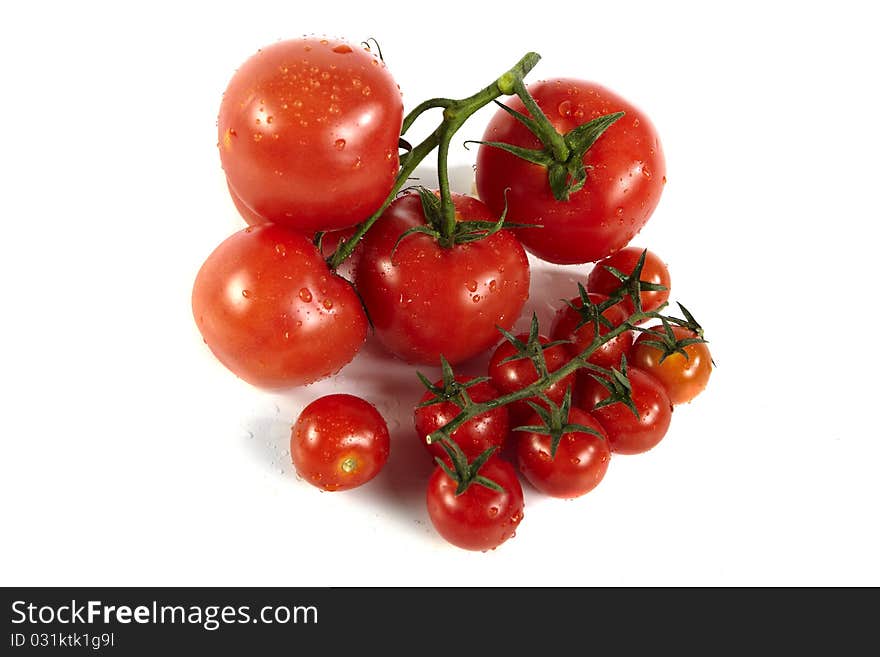 Red tomato on white backgrounds. Red tomato on white backgrounds