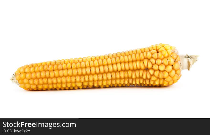 Golden corn isolated on white background