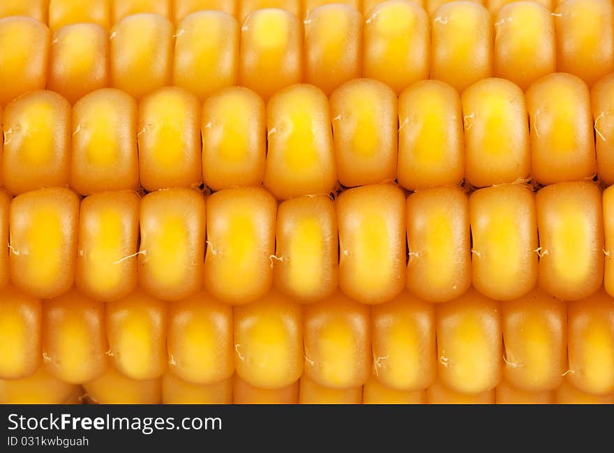 Golden corn background. Natural texture.