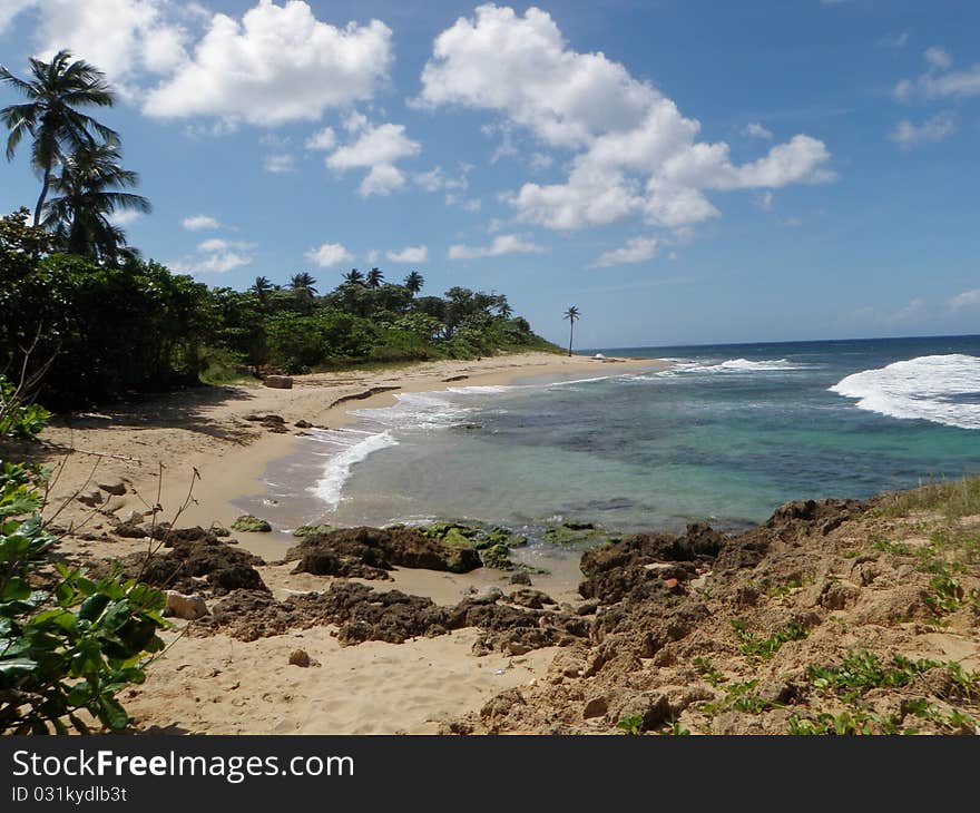 Sandy beach cove with palm trees along the coast of the tropical Caribbean island of Puerto Rico USA. Sandy beach cove with palm trees along the coast of the tropical Caribbean island of Puerto Rico USA.