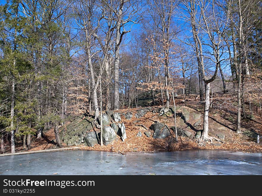 Frozen pond