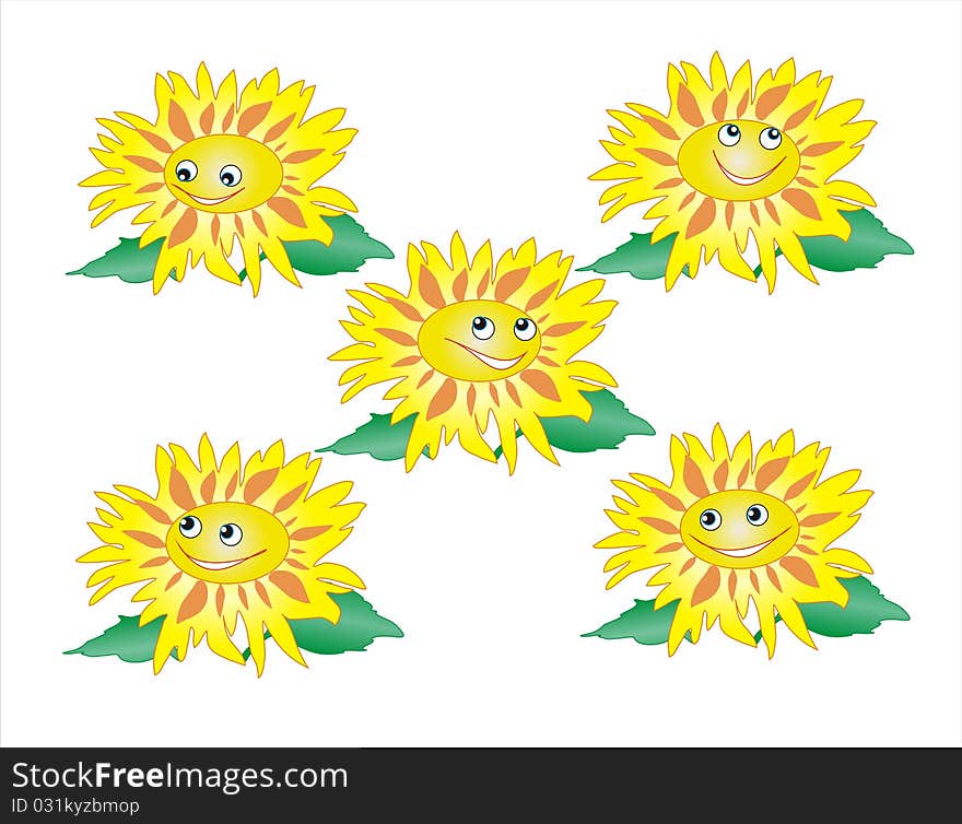 Sunflower on a white background for registration something