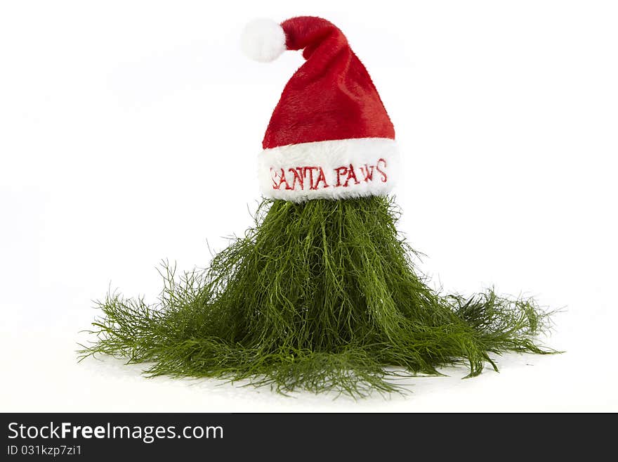 Christmas Dill On Santa Hat