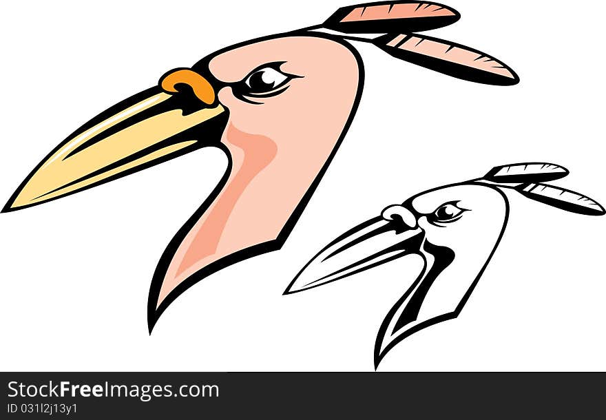 Vector illustration of bird's head