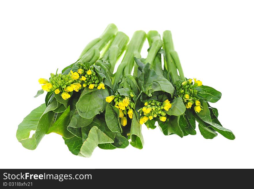 Green Vegetables, Chye Sim On A White Background