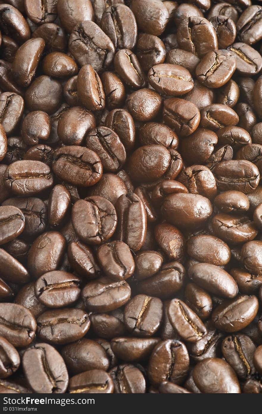 Black and brown Coffee beans texture closeup