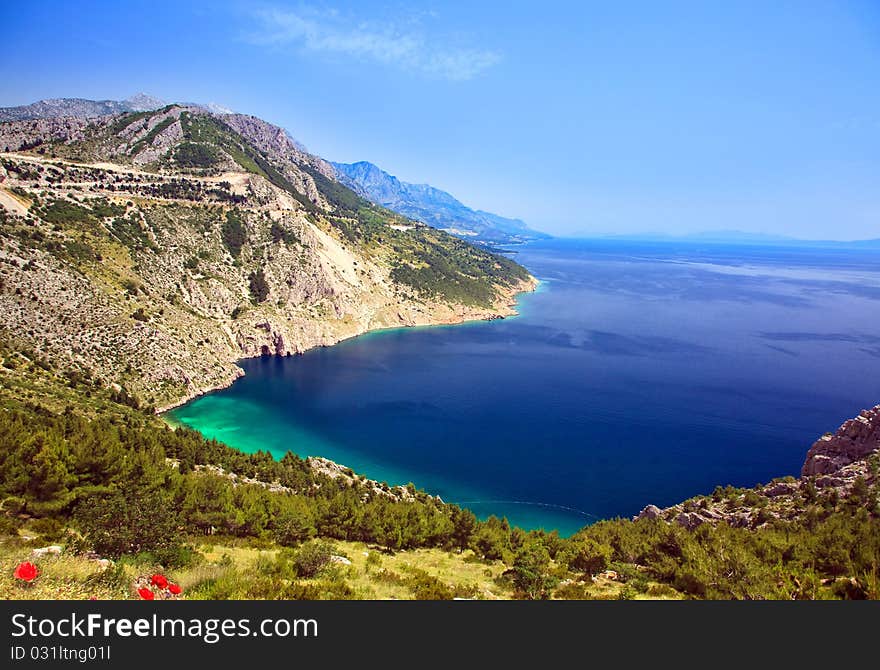 Beautiful Mountain Bay With Poppies