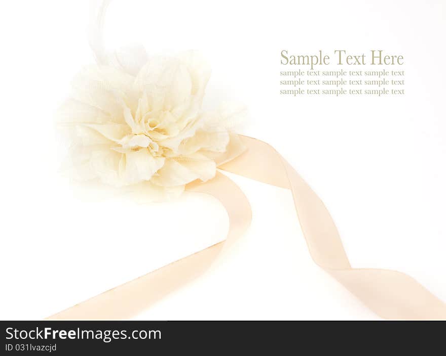 Beautiful bow isolated on white background. Beautiful bow isolated on white background