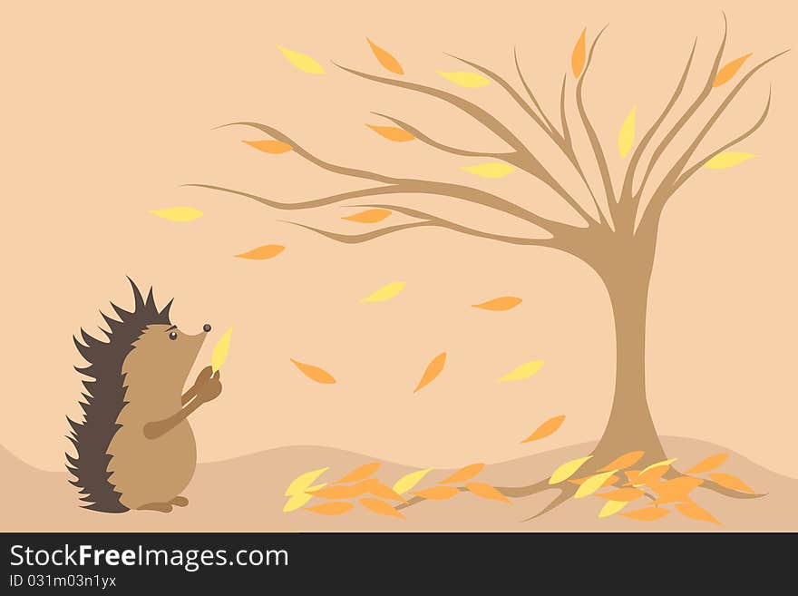 There is a hedgehog in autumn time. There is a hedgehog in autumn time