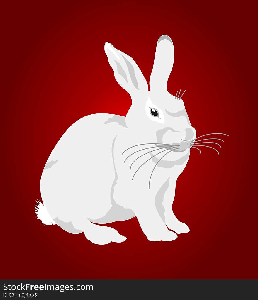 White rabbit on a red background. A illustration. White rabbit on a red background. A illustration