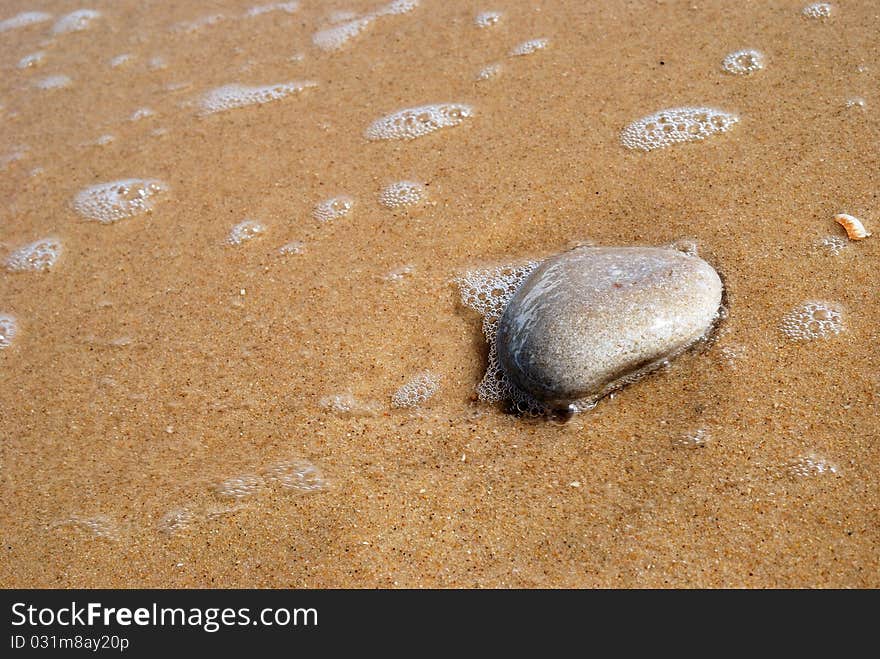 Close-up of a stone on the sandy beach. Close-up of a stone on the sandy beach