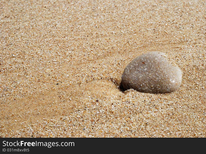 Close-up of a stone on the sandy beach. Close-up of a stone on the sandy beach