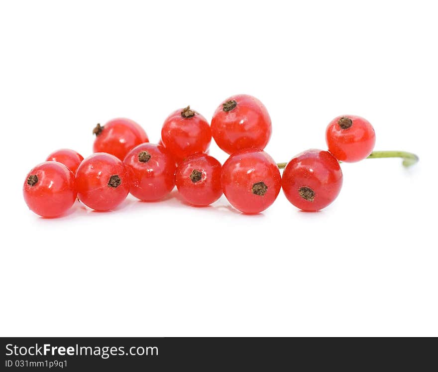 Red currant isolated on white background