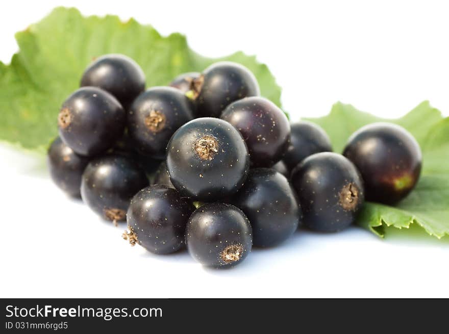 Black currant isolated on white background