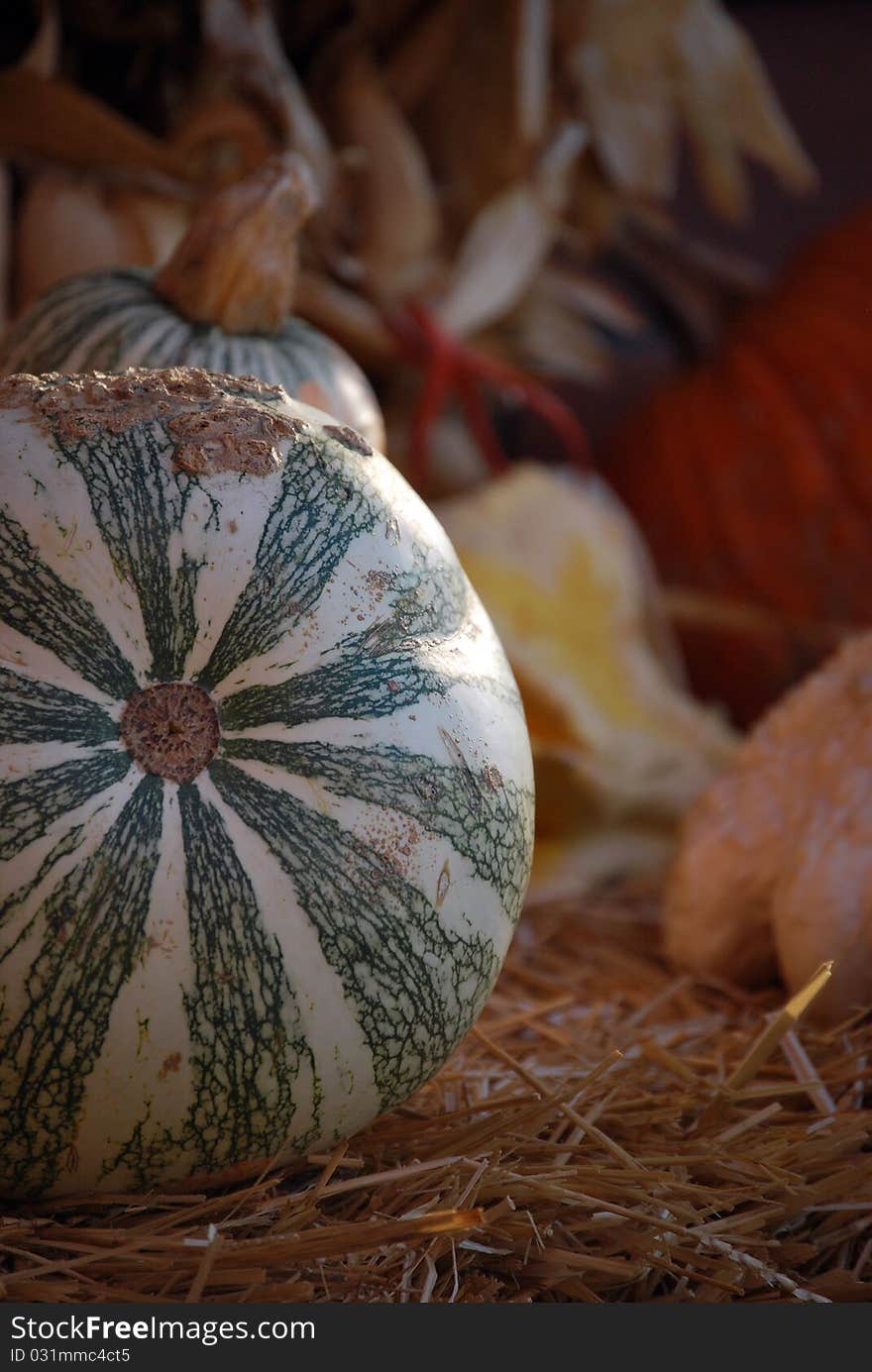 Fall harvest atop a bale of straw.