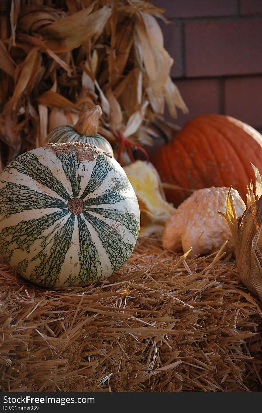 Autumn harvest