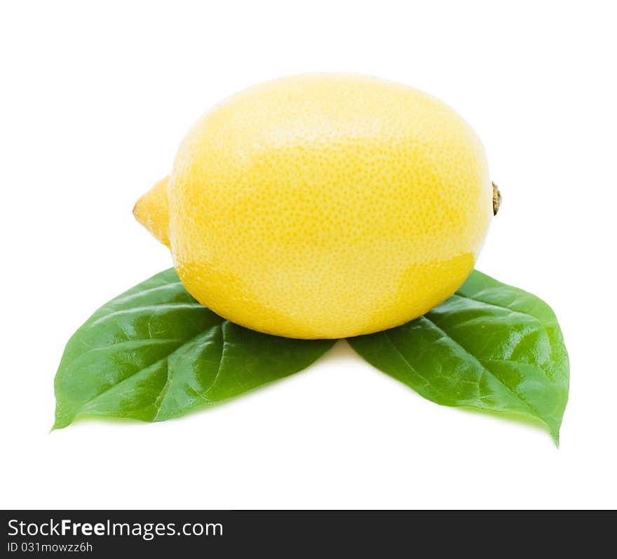 Fresh juicy Lemon with green leafs