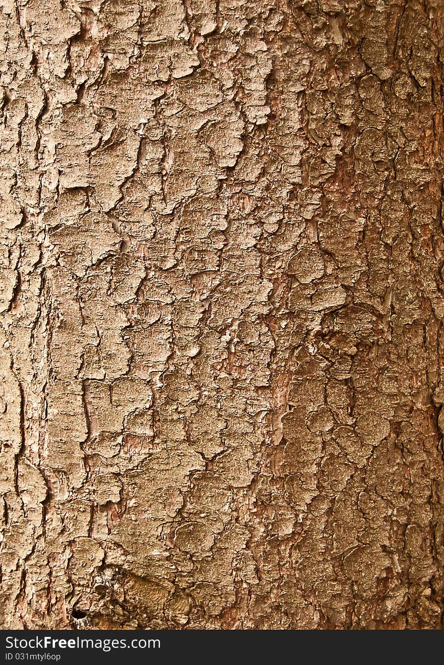 Cracked Texture