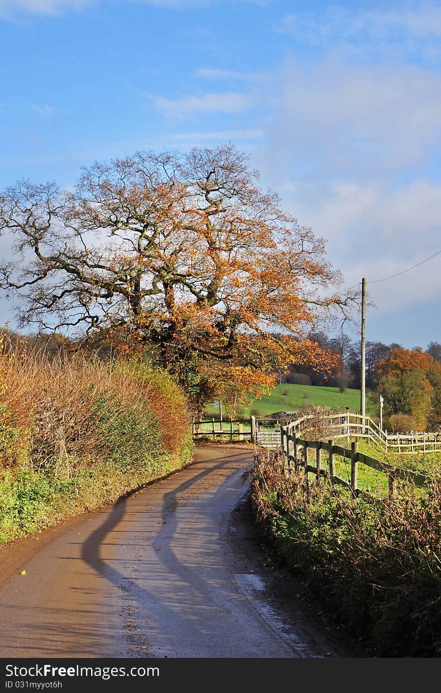 An English Rural landscape in early Winter with narrow lane between hedgerows. An English Rural landscape in early Winter with narrow lane between hedgerows