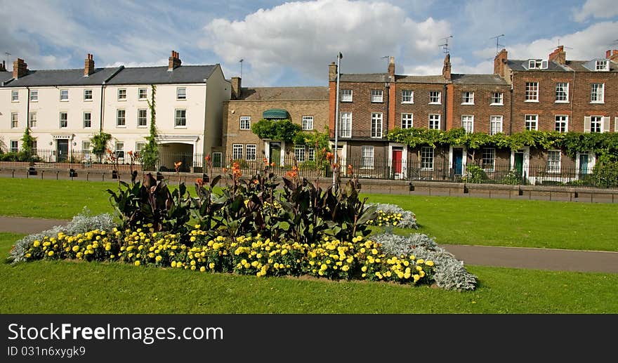 Flowers and houses