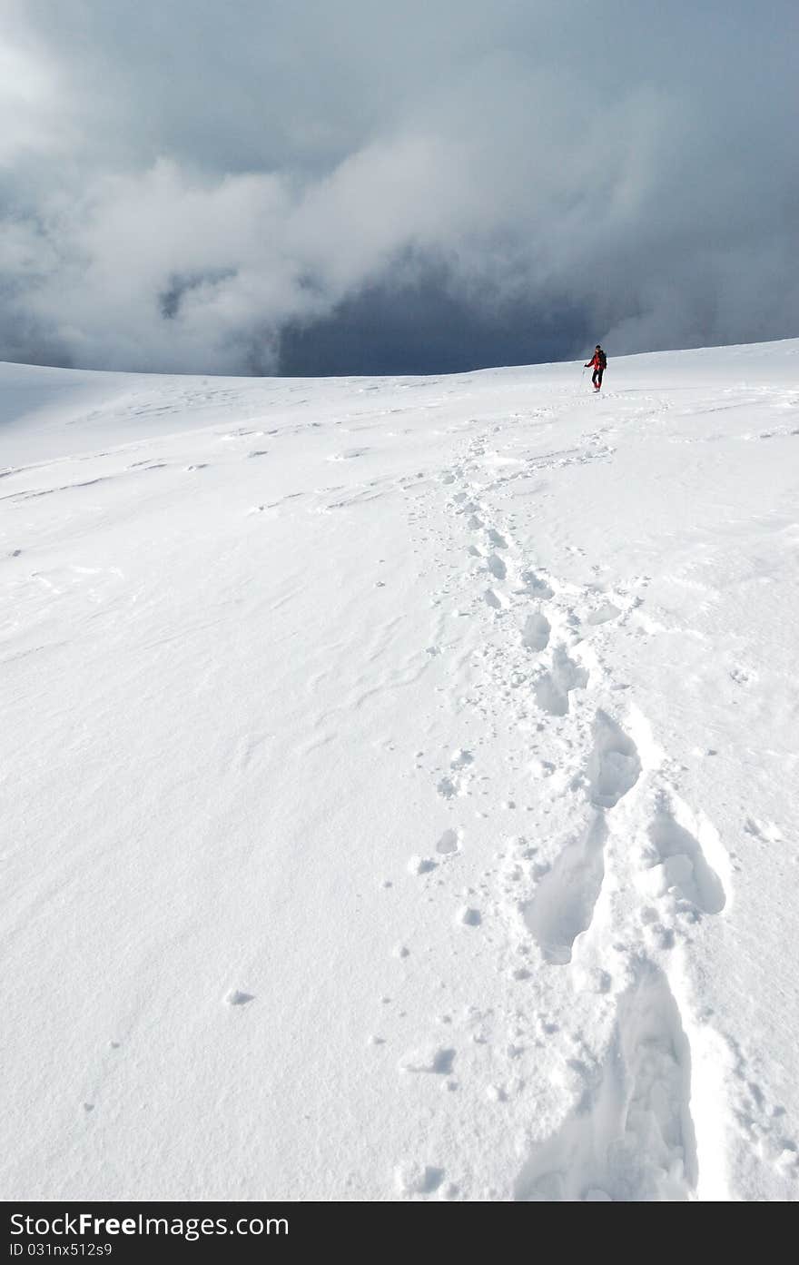 Steps in the snow