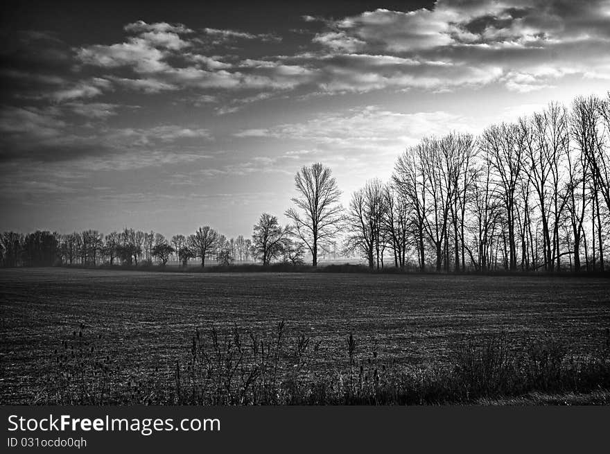 An HDR shot of treelines in morning fog, receding through a harvested farmer's field. An HDR shot of treelines in morning fog, receding through a harvested farmer's field.