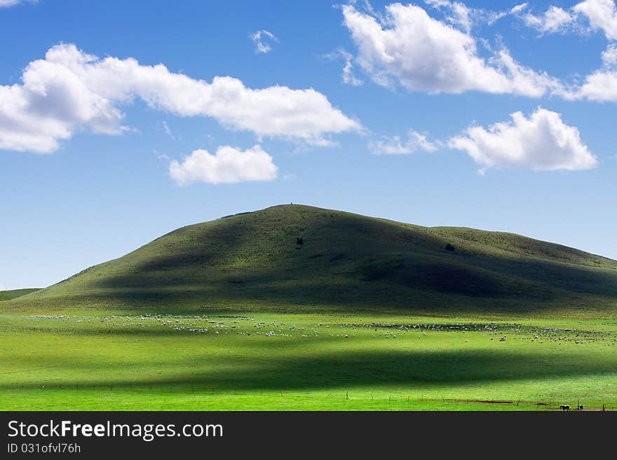 Beautiful landscape in the mongolian grassland