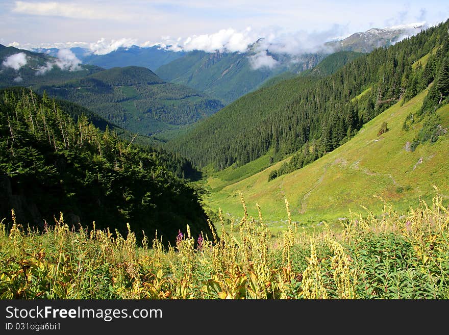 Far reaching view of forested mountains from a lush meadow in North Cascades National Park, Washington State. Far reaching view of forested mountains from a lush meadow in North Cascades National Park, Washington State.