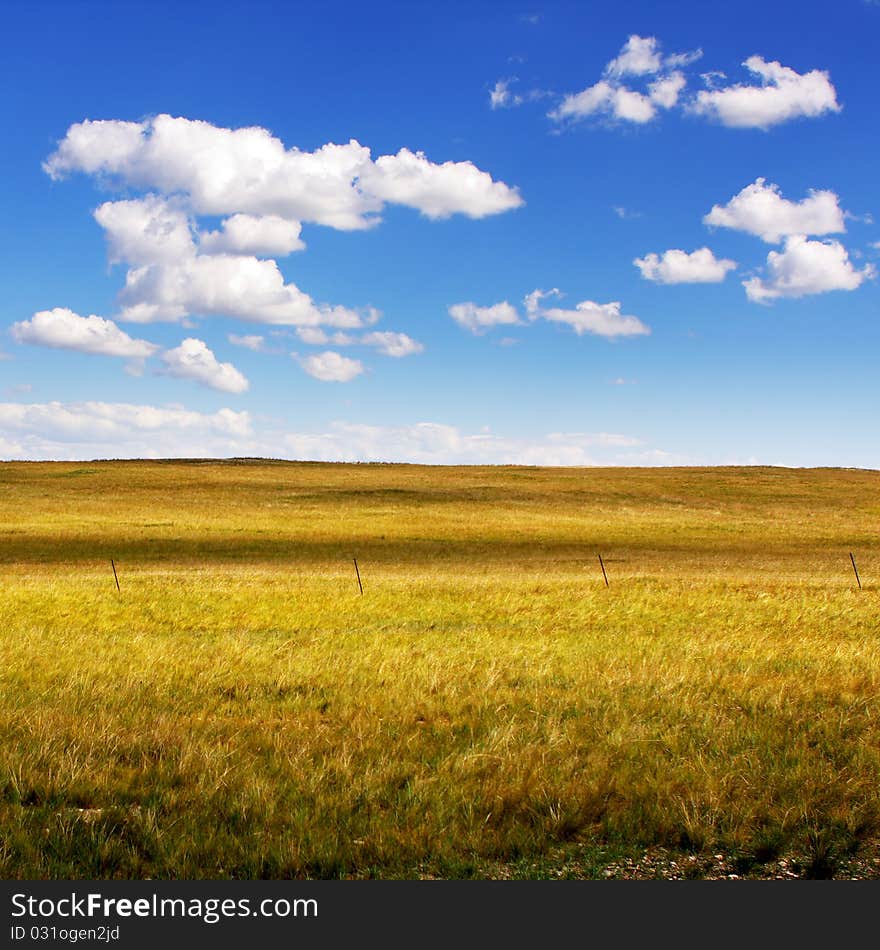 Blue sky ,white clouds and grassland. Blue sky ,white clouds and grassland