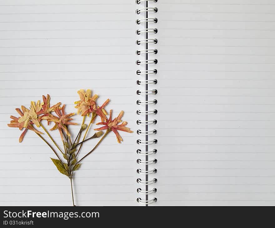 Pressed Dry Flower On Two Page Note Book