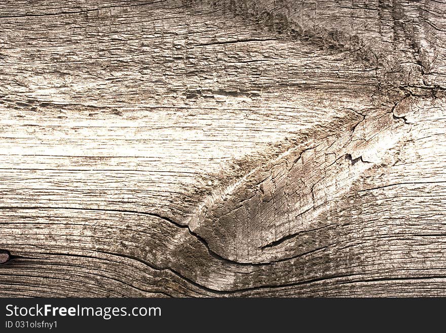 The Brown Wood Texture