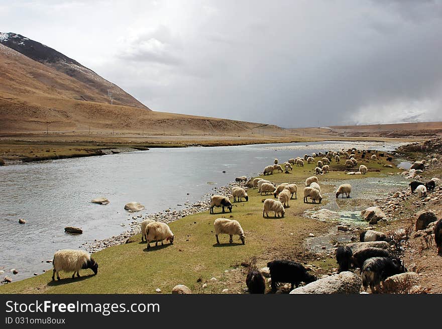 Landscape in Tibet