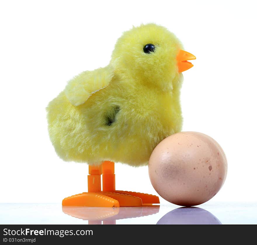 Chick with egg isolated on white background. Chick with egg isolated on white background.