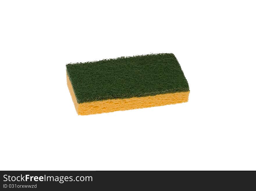 Sponge Isolated