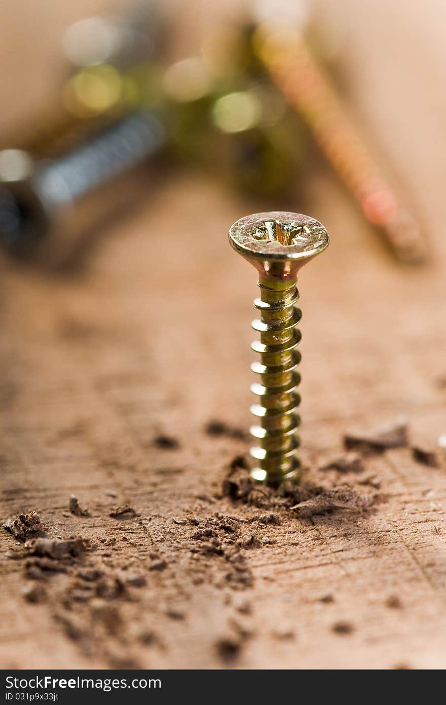 Screws screwed in wood with wood shavings. Screws screwed in wood with wood shavings