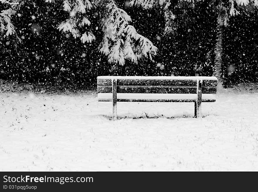 A wooden bench under the falling snow in a cold winter day. A wooden bench under the falling snow in a cold winter day