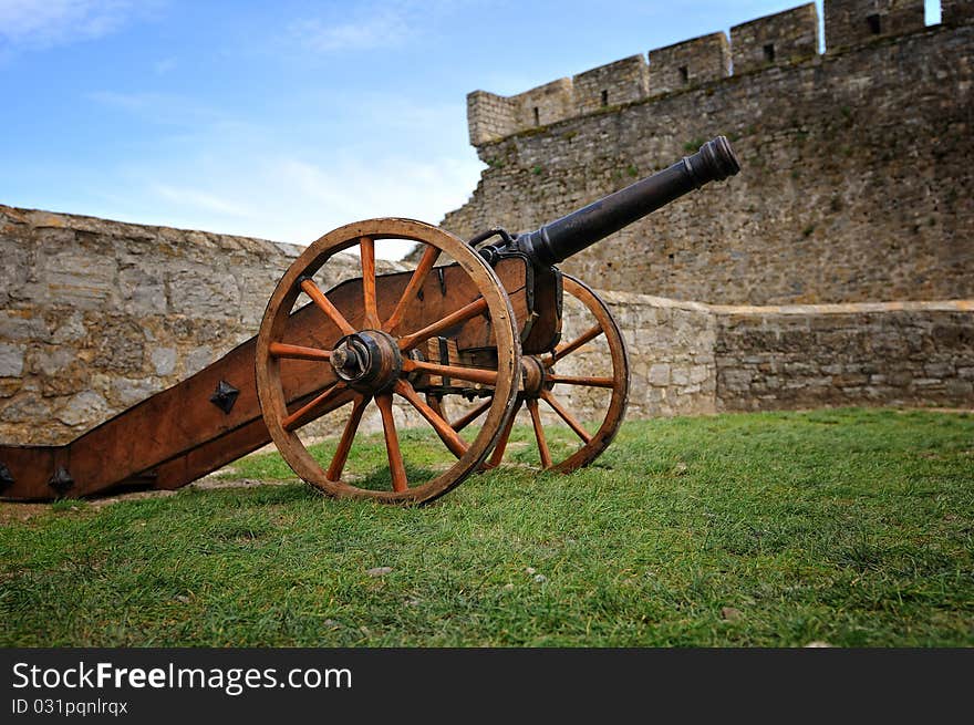 The ancient cannon