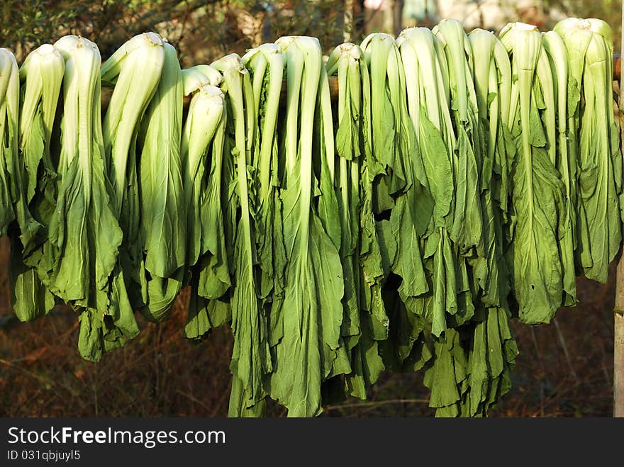 Green Vegetables