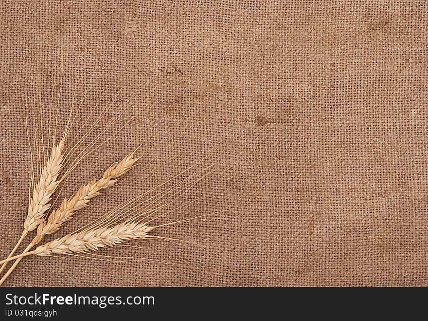 Wheat ears on burlap background