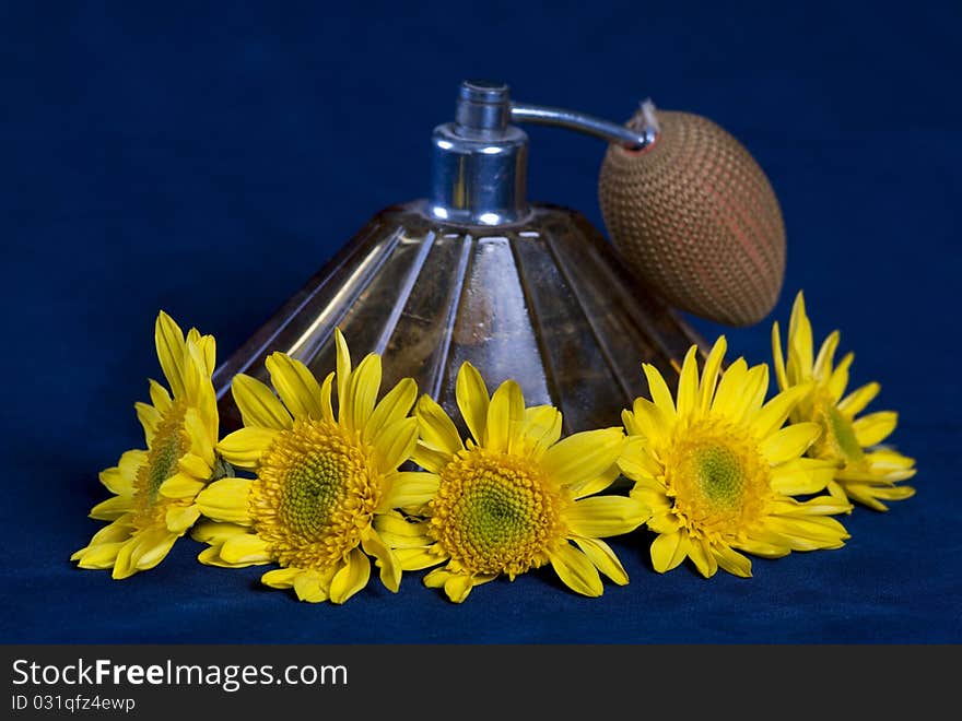 Vintage perfume bottle surrounded with yellow flowers, on dark background. Vintage perfume bottle surrounded with yellow flowers, on dark background