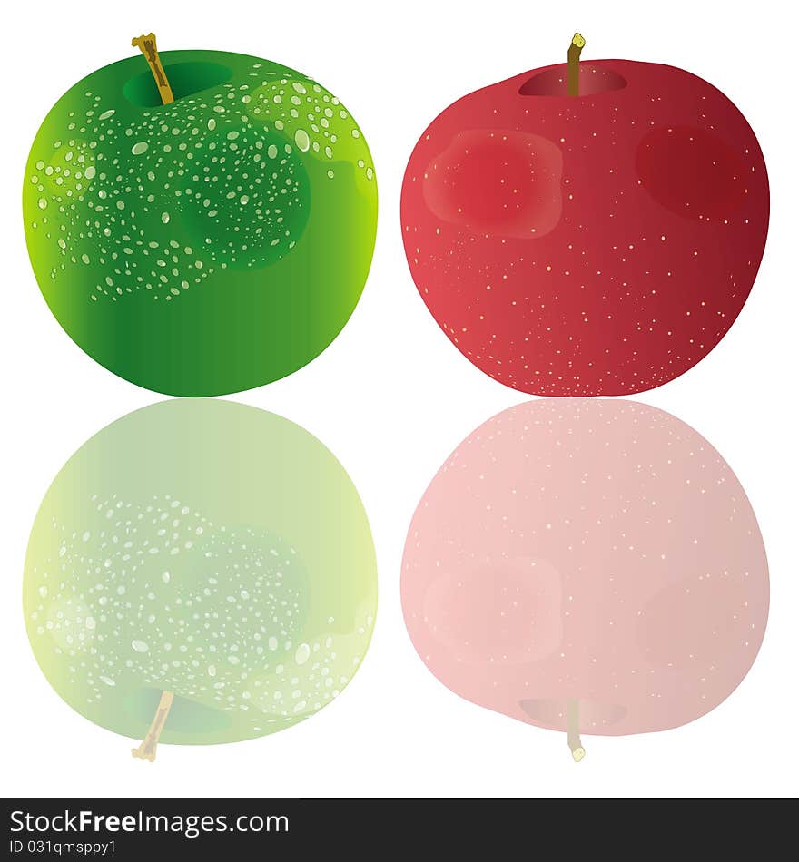 This image represents a green apple and a red apple isolated on a white background. This image represents a green apple and a red apple isolated on a white background