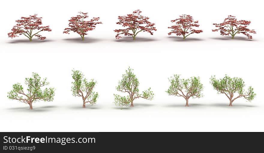 Ten trees with red and green leaves on a white background