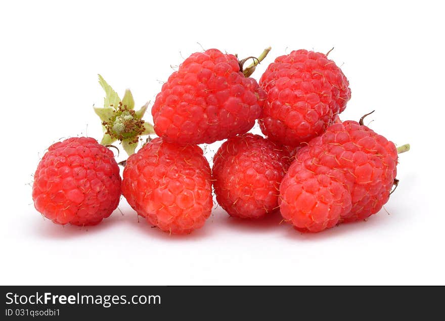 Berries of raspberry