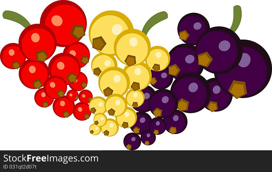 Sprigs of red, white and black currants